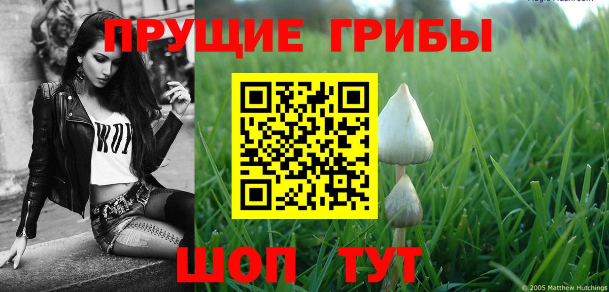 Галлюциногенные грибы мухоморы  Вход с VPN  Протвино  Галлюциногенные грибы GOLDEN TEACHER 