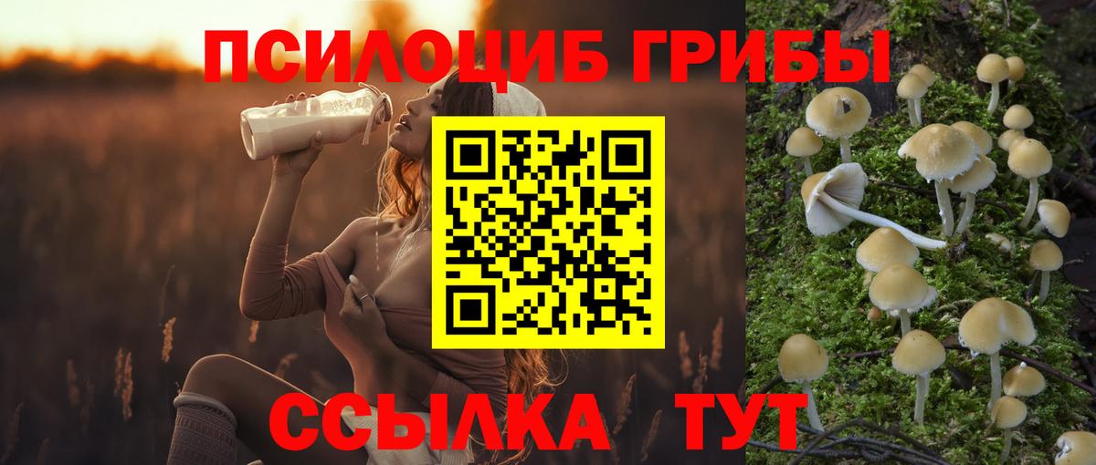 Галлюциногенные грибы Magic Shrooms Протвино